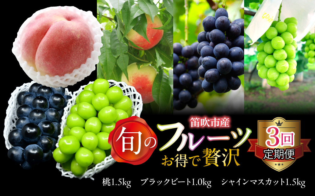 【定期便】【2026年発送★先行予約】 旬のフルーツ3回定期便（桃・ブラックビート・シャインマスカット） 227-017-03-26y