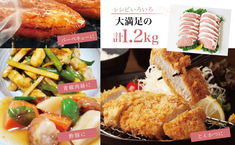 【氷感熟成豚】★数量限定★ 鹿児島県産 豚ロース とんかつ・ソテー用 計1.2kg 冷凍 スターゼン 南さつま市 肉 お肉 焼肉 炒め物 とんかつ ステーキ ソテー 照焼き  おかず 惣菜 お弁当 豚