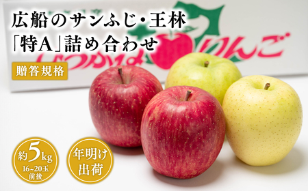 【レビューキャンペーン】年明け 贈答用 広船のサンふじ王林詰合せ約5kg・特A16～20玉 [hi-0004-007]