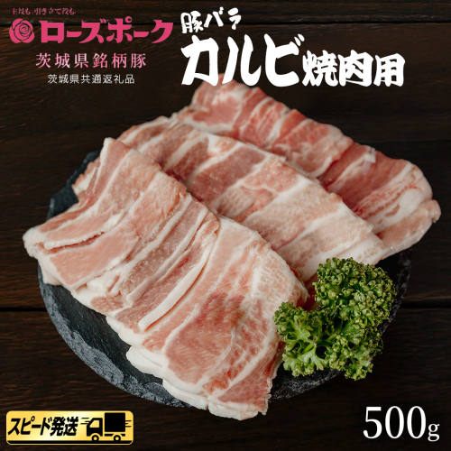 【 スピード 発送 】【 ローズポーク 】 豚バラ カルビ 焼肉 用 500g (茨城県共通返礼品) 肉 お肉 豚肉 国産豚 国産 銘柄豚 ブランド豚 豚ロース 焼肉 BBQ [AI24-NT]