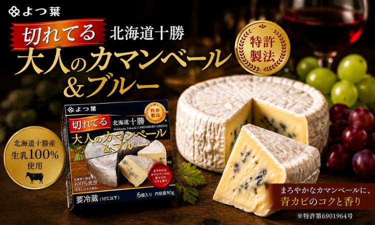 
                  北海道十勝産 よつ葉切れてる大人のカマンベール＆ブルー6個 【 ふるさと納税 人気 おすすめ ランキング よつ葉 カマンベール カマンベールチーズ 切れてる 加工食品 乳製品 チーズ 贈答 プレゼント 贈り物 ギフト セット 北海道産 十勝産 北海道 鹿追町 送料無料 】 SKA034
                