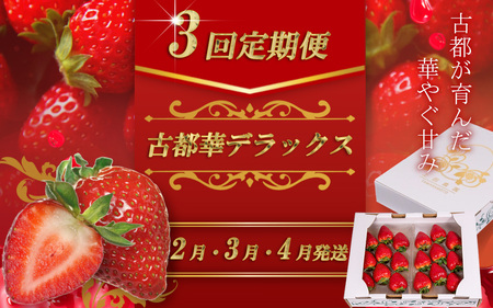 （冷蔵）【定期便全3回】（2月・3月・4月）イチゴ 奈良県産高級ブランド品種「古都華」デラックス（270g×2パック） ／ 上田農園 苺 いちご 果物 フルーツ 甘い 奈良県 田原本町