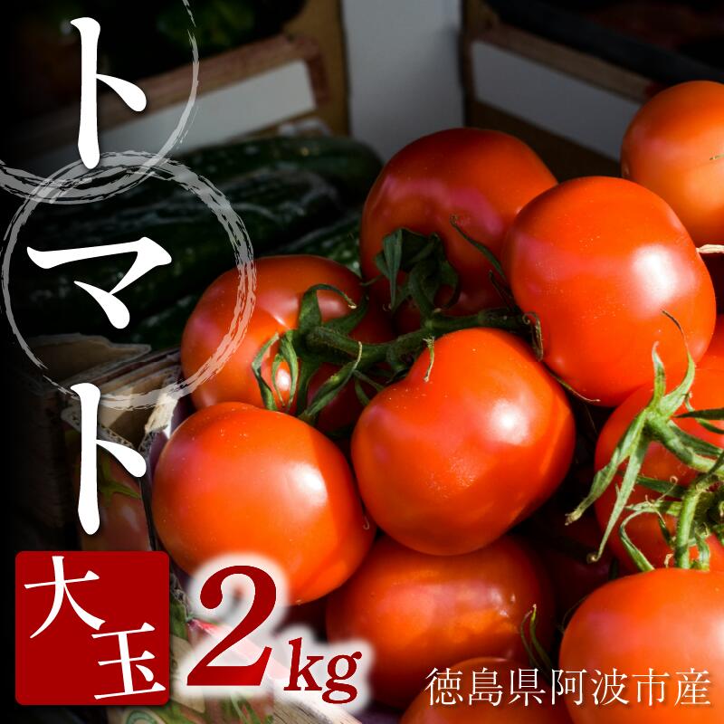 【ふるさと納税】 トマト 大玉 2kg 野菜 やさい トマト ジュース パスタ スパゲティー ソース サラダ ドレッシング サンドイッチ ハンバーガー ピザ カレー お取り寄せ グルメ 送料無料 徳島県 阿波市 ヴェリタス株式会社