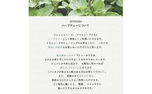 ハーブティーセット(ミント&レモン) ティーバッグ20個 ハーブティー ティーバッグ ハーブ 柑橘系ハーブ ミント ノンカフェイン SDGs 山梨 富士吉田