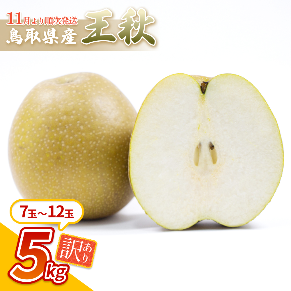 【先行予約】（訳あり）中野農園 梨 ”王秋梨” 5kg箱｜鳥取 岩美 梨 なし ナシ 赤梨 果物 フルーツ ※お届けは2026年11月以降【41018】