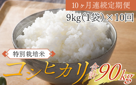 【先行予約】【10ヶ月連続お届け】令和6年度産 特別栽培米 コシヒカリ 9kg×10ヶ月（計40kg）【2024年10月より順次発送】[L-012004]