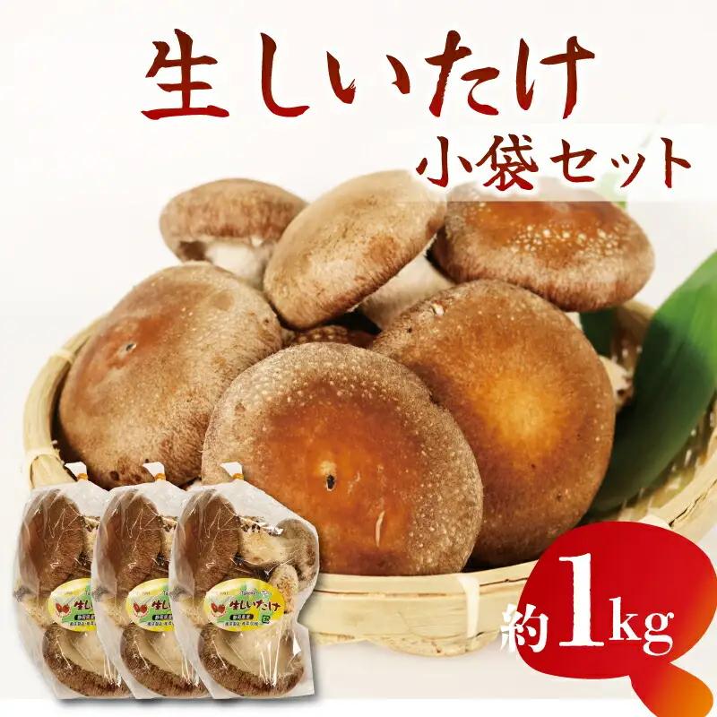 しいたけ 小分け 袋 約1kg しいたけ