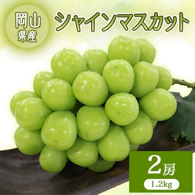 2026年先行予約　シャインマスカット　2房【配送不可地域：離島】【1673373】