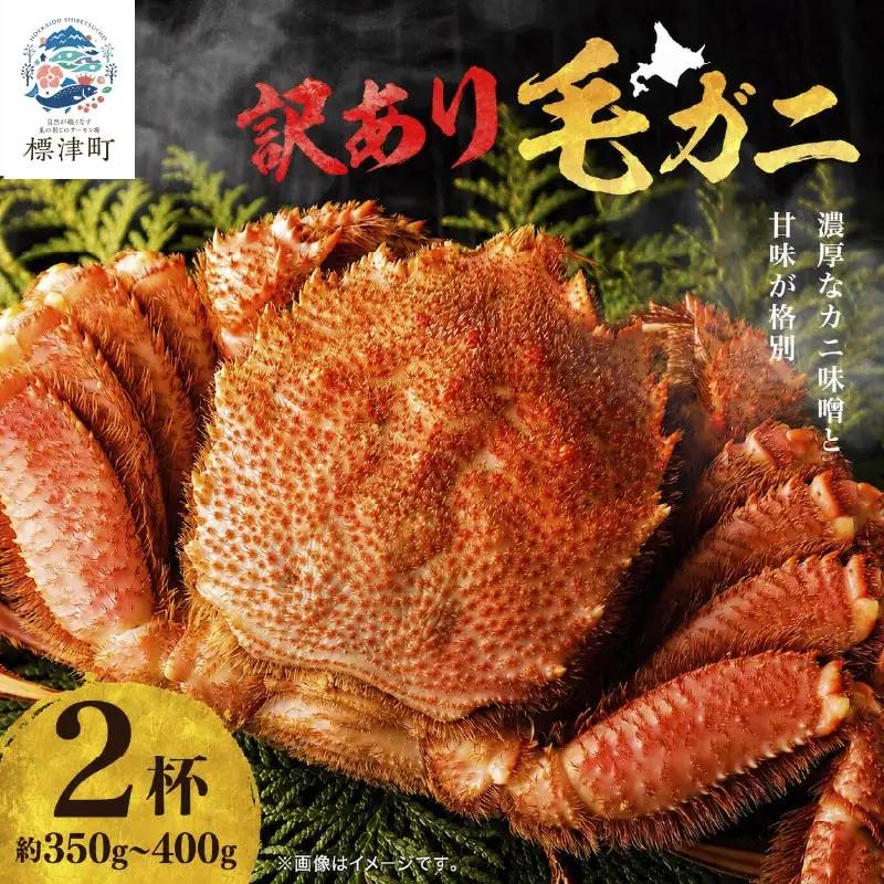 【訳あり】毛ガニ 350g~400g×2杯 毛ガニ 【AF】