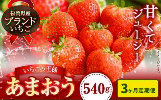 いちご あまおう 先行予約 いちご 大量 540g 選べる発送時期 定期便 フルーツ《2026年1月から出荷開始》苺 旬 くだもの 果物 福岡県 小竹町
