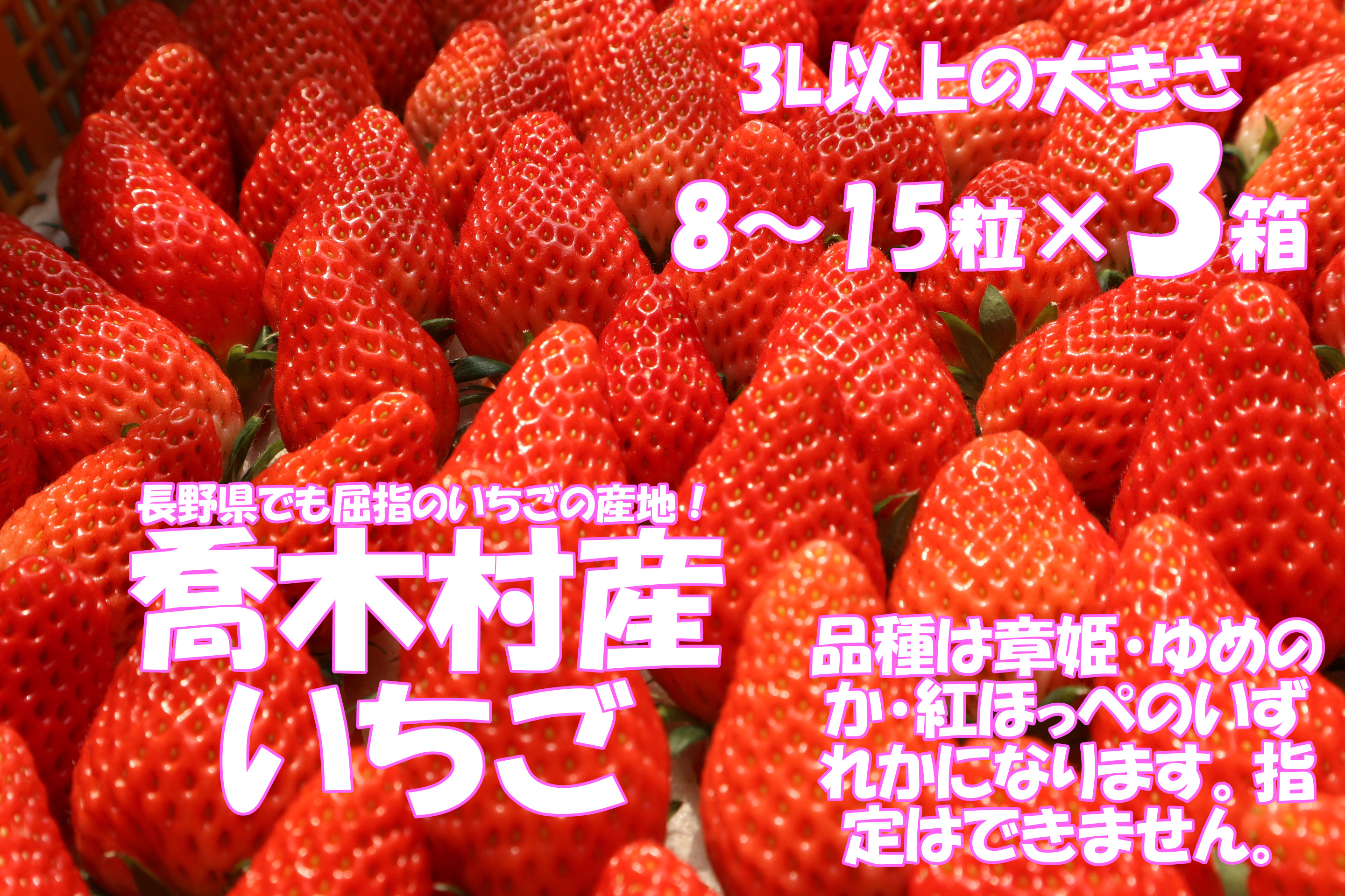 
6-N02　喬木産　大粒いちご3箱
