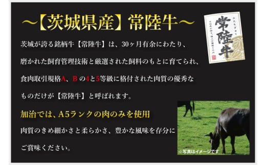 【3ヶ月定期便】【常陸牛 A5ランク・美明豚すきしゃぶセット】常陸牛肩ロースすき焼き用180ｇ＋美明豚しゃぶしゃぶ用200ｇ（ロース100ｇ・ばら100ｇ）冷凍 和牛 牛肉 豚肉 食べ比べ お取り寄せ