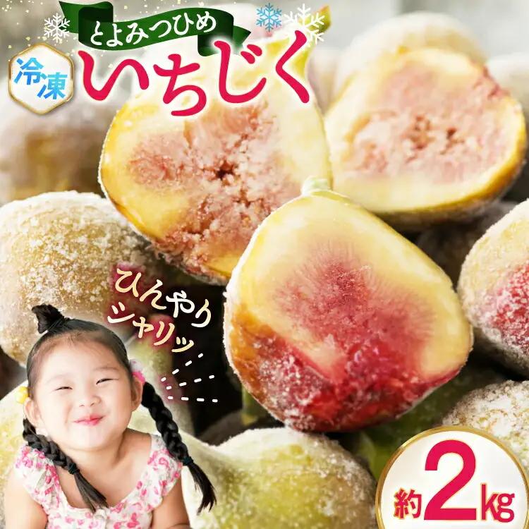 いちじく 冷凍 とよみつひめ 約 2kg