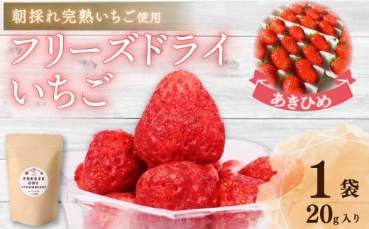 おかげさまです杉山農園のフリーズドライイチゴ 20g 朝摘み 【 ドライ いちご 】 ドライフルーツ 果物 いちご イチゴ 苺 フルーツ くだもの フリーズ デザート 完熟 果肉 くだもの  ストロベリー お菓子 菓子 スムージー 朝食 ヨーグルト おやつ イチゴ 製菓材料 グルメ アレンジ フルーツ 保存食 農家直送 朝採れ ベリー 産地直送 国産 おすすめ カロリー 乾燥 静岡県 牧之原市