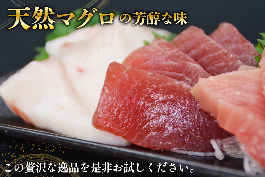 北かつのマグロ 中トロセット [北かつ商事 宮城県 気仙沼市 20563599] 魚 刺身 柵 鮪 まぐろ マグロ 本マグロ 南マグロ 中トロ メカジキ メバチ めばち ビンチョウ 冷凍 魚介類 魚介