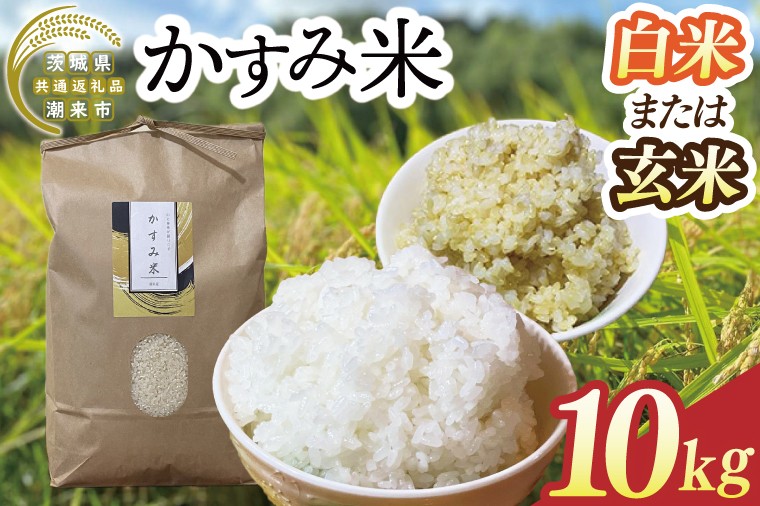 
                  【2026年9月下旬より順次発送】★新米★R8年産 かすみ米 10kg(白米または玄米)【茨城県共通返礼品/潮来市】｜米 お米 新米 こめ かすみ米 10kg 白米 玄米 共通返礼品 茨城県共通返礼品 数量限定 先行予約 人気 送料無料(BI-89)
                