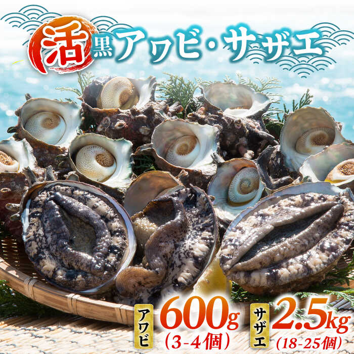 【ふるさと納税】活アワビ600g・活サザエ2.5kg《壱岐市》【丸和水産】[JCJ003] あわび アワビ 鮑 サザエ さざえ 栄螺 刺身 刺し身 お刺身 海産物 鮮魚 海鮮 冷蔵 魚介 貝 生 50000 50000円 冷蔵配送