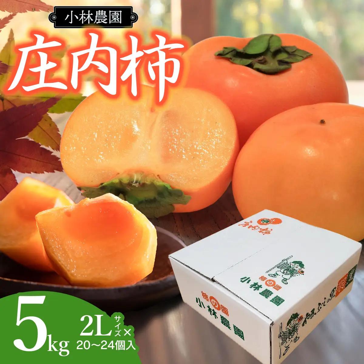 【令和8年産】 庄内柿 2Lサイズ 5kg（20～24個） 小林農園