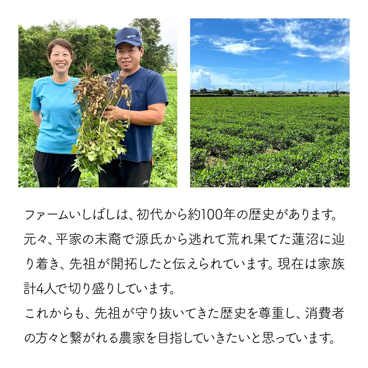 【先行受付・9月中旬より順次発送！】Qナッツ 生落花生 1.5kg SMAH014／ふるさと納税 落花生 生 生落花生 Qナッツ 生Qナッツ A品 大粒 希少 旬 季節限定 ふっくら 柔らか ほくほく