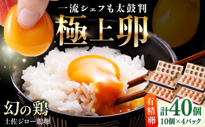 
                  土佐ジロー鶏卵 40個 （10個×4パック）/ 高知 土佐 土佐ジロー 卵 たまご 玉子 鶏卵 卵焼き たまご焼き 玉子焼き 目玉焼き 生卵 卵かけご飯 TKG ギフト 贈り物 【とさやま養鶏場】 [ATHB002]
                