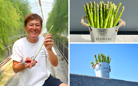 熊本県八代市産 アスパラガス 10kg