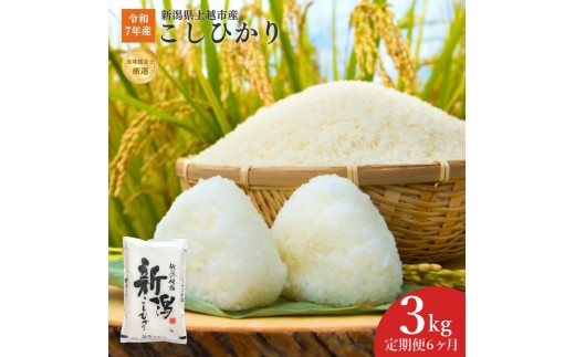 
                  令和7年産 新潟県上越産こしひかり 精米 3kg 6か月定期便 上越市 米 コメ コシヒカリ
                