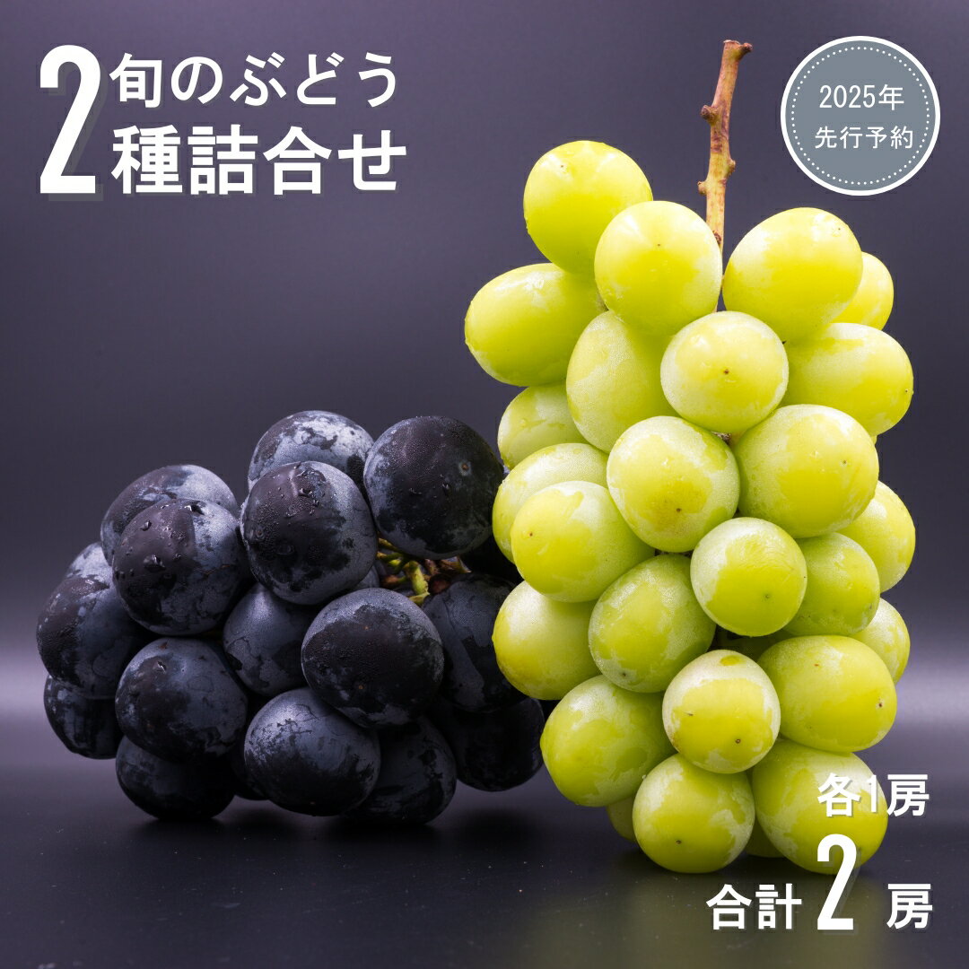 【ふるさと納税】 【2025年先行予約】千曲市産 旬のぶどう 2種詰合せ （各1房 合計2房） | 果物 フルーツ ぶどう 葡萄 シャインマスカット マスカット ナガノパープル ピオーネ 2房 詰め合わせ 特産品 千曲市 長野県 信州