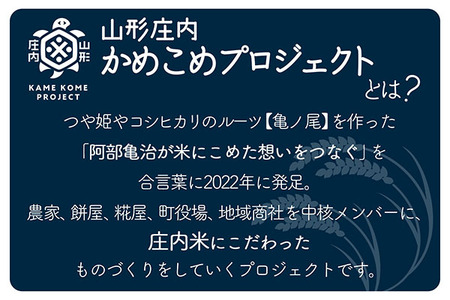 山形庄内かめこめプロジェクト 庄内米ギフト つや姫 300g×1袋 令和7年産 2025年産 ブランド米 コシヒカリの原点、亀の尾発祥の地 庄内