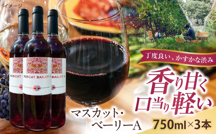 
                  マスカット・ベーリーA 3本 750ml×3 赤ワイン 国産 島根県雲南市/有限会社奥出雲葡萄園 [AICS127]
                