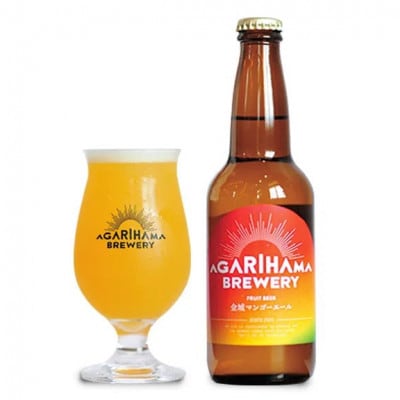 【お歳暮・無地熨斗付き】クラフトビール定番4種＆金城マンゴーエール2本 6本セット【配送不可地域：離島】