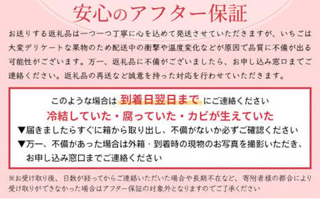 ☆赤い宝石☆佐賀県産いちごさん（240g✕4P）計960g【先行予約開始】2025年1月より発送【数量限定】A-66-AS