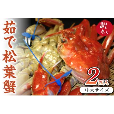 ふるさと納税 京丹後市 日本海産　ブランド蟹　茹で松葉蟹【訳あり】中大サイズmatubakani800　2匹入り