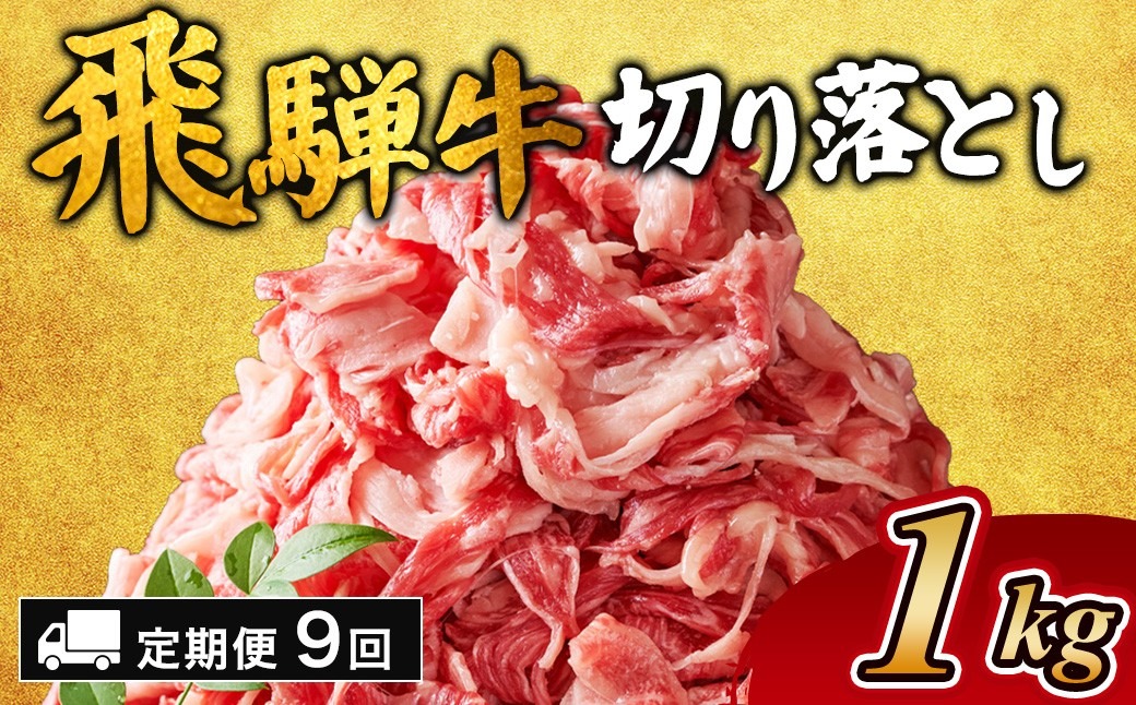 【9ヵ月定期便】飛騨牛切り落とし 1kg ｜ 牛肉 和牛 国産 切り落し 切落し 定期便 スライス すき焼き カレー 赤身 赤身肉 牛 肉 夜ごはん 晩ごはん ご飯 おかず おすすめ 瑞穂市 岐阜県