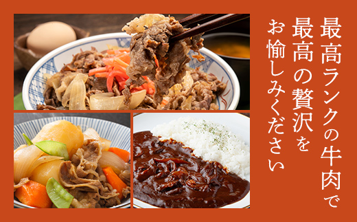 飛騨牛 切り落とし 280g 牛肉 和牛 肉 お肉 切落し 不揃い 訳あり  岐阜県 坂祝町 養老ミート ブランド牛 国産 霜降り 赤身 モモ カタ スライス すき焼き 牛丼 炒め物 冷凍 お取り寄せ