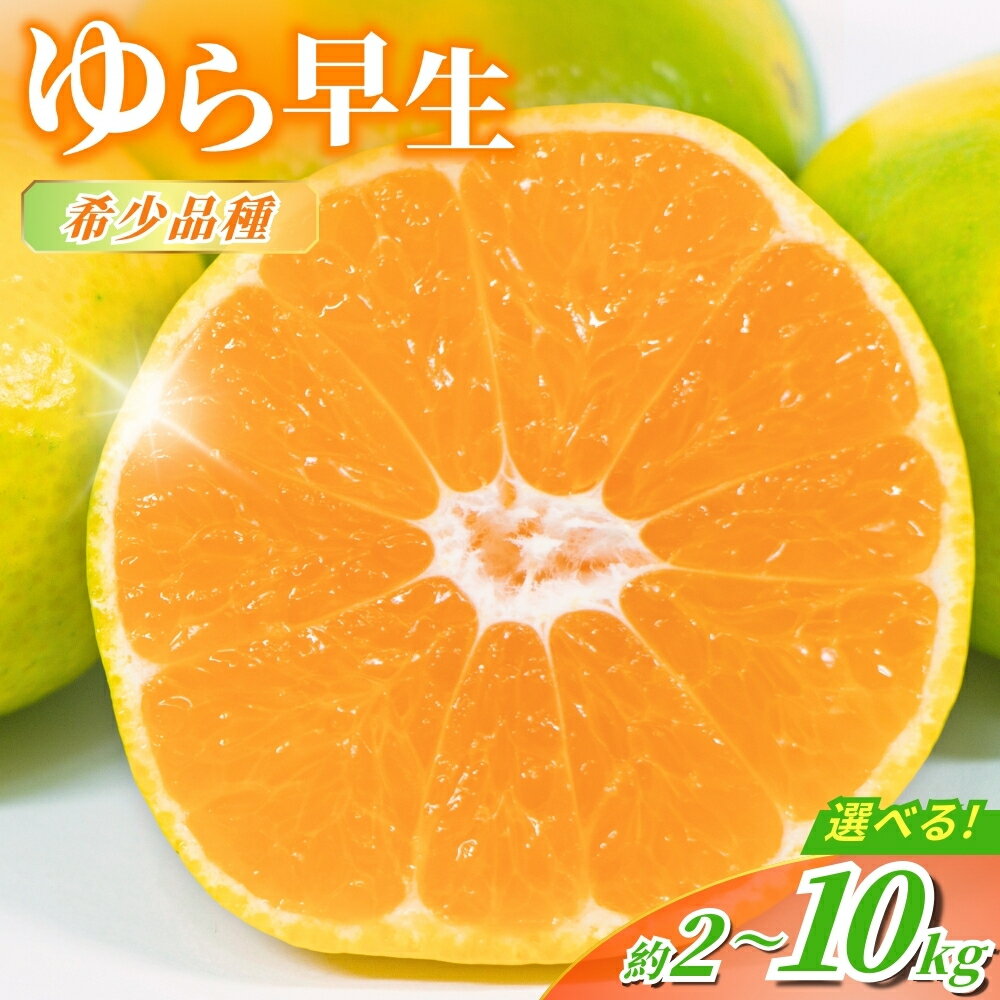 【ふるさと納税】【先行予約】 ＼光センサー選別／＼農家直送／ 甘くて濃厚 希少品種 ゆら早生みかん 【ご家庭用】 2kg 4kg 5kg 7kg 10kg【選べる容量】 サイズ混合 有機質肥料100% 【2025年10月上旬より順次発送予定（お届け日指定不可）】果物 みかん 早生 ミカン