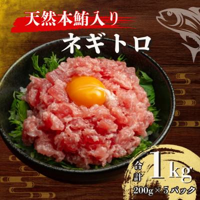 ふるさと納税 船橋市 天然本鮪入 まぐろのたたき200g×5袋 まぐろ丼・ネギトロ丼向け 天然本鮪ブレンド 小分けセット