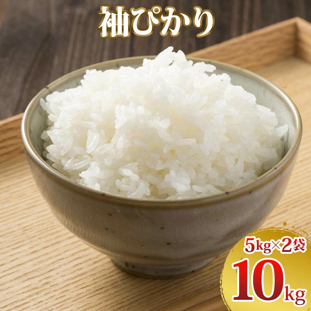 
            令和7年度産 袖ぴかり 10kg (5kg×2)｜米 おこめ こしひかり コシヒカリ 直送 推奨米 袖ケ浦 千葉 [0496]
          