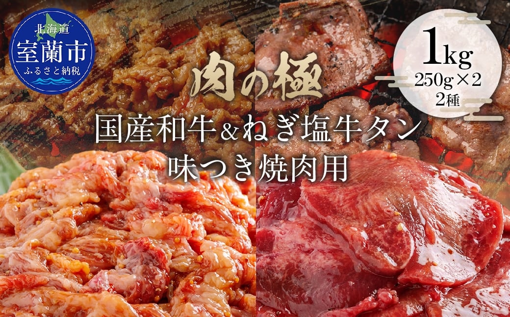 
            国産和牛味付き焼き肉用とねぎ塩牛タン味付き焼き肉用セット 1kg（各250g×2） 【ふるさと納税 人気 おすすめ ランキング 肉 牛肉 和牛 国産和牛 牛 国産 国産牛 にく 牛タン タン ねぎ塩 ニク 味付き 焼肉 バーベキュー BBQ 北海道 室蘭市 送料無料】 MROBM068
          