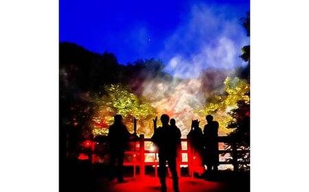 阿寒湖の森ナイトウォーク「KAMUY LUMINA (カムイルミナ)」入場券 大人2枚 体験 アクティビティ プロジェクションマッピング デジタル体験 アイヌ 文化 自然 森林浴 美容 アウトドア 自
