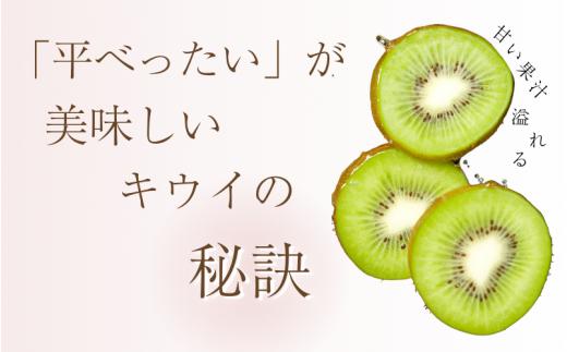 ＜2024年11月より発送＞家庭用 キウイフルーツ2kg+60g（傷み補償分）【わけあり・訳あり・扁平果】※北海道・沖縄・離島配送不可 / 和歌山  フルーツ 果物 くだもの 旬 キウイフルーツ キウ