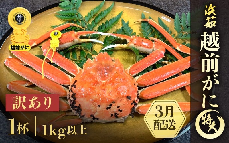 
            【訳あり】≪浜茹で≫越前がに 特大サイズ 1杯（生で1kg以上）【雄 ズワイガニ かに カニ 蟹 越前ガニ 姿 ボイル 冷蔵 福井県】【3月発送分】希望日指定可 備考欄に希望日をご記入ください [e68-x007_03]
          