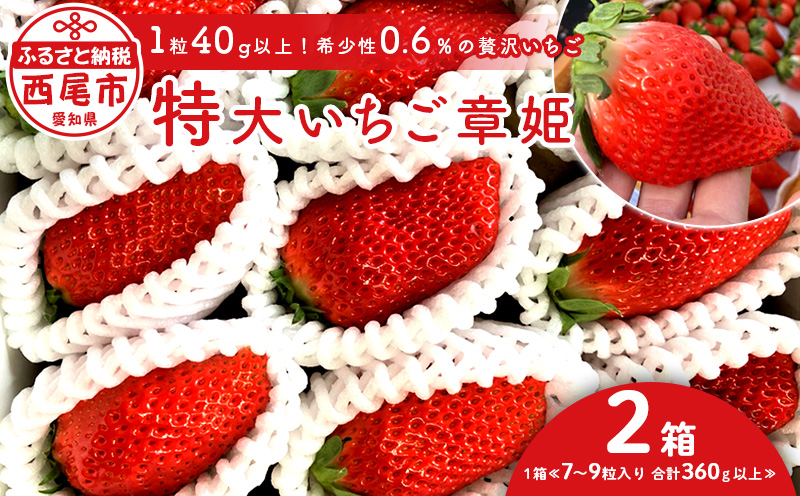 特大いちご(章姫)　360g以上(7〜9粒、1粒40g以上)×2箱 ・O044-19／オオダケイチゴ 