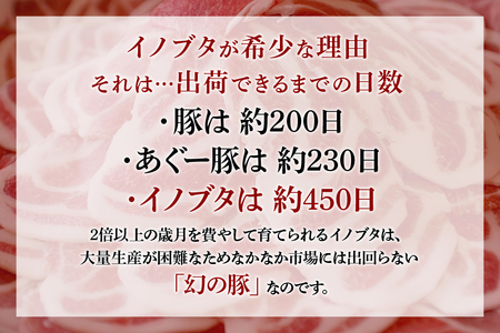 【ビール特産品セット】オリオン ザ・ドラフト12本＆旨み凝縮！国頭イノブタ