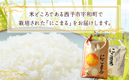 ＜令和7年産 西予市宇和町産 にこまる 約5kg＞ お米 コメ 白米 精米 単一原料米 ご飯 晩稲 大粒 精米 ご飯 ライス 穀物 ニコマル 特産品 愛媛県産 西予市産 宇和町産 三好フク 愛媛県 西