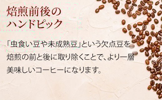 【粉】＼焙煎当日に発送／ジャマイカ ブルーマウンテン No.1 200g 浅煎り ウォッシュド 自家焙煎 コーヒー豆 コーヒー粉 豆 コーヒー 珈琲 coffee コーヒーギフト 挽き立て 高級 プレ