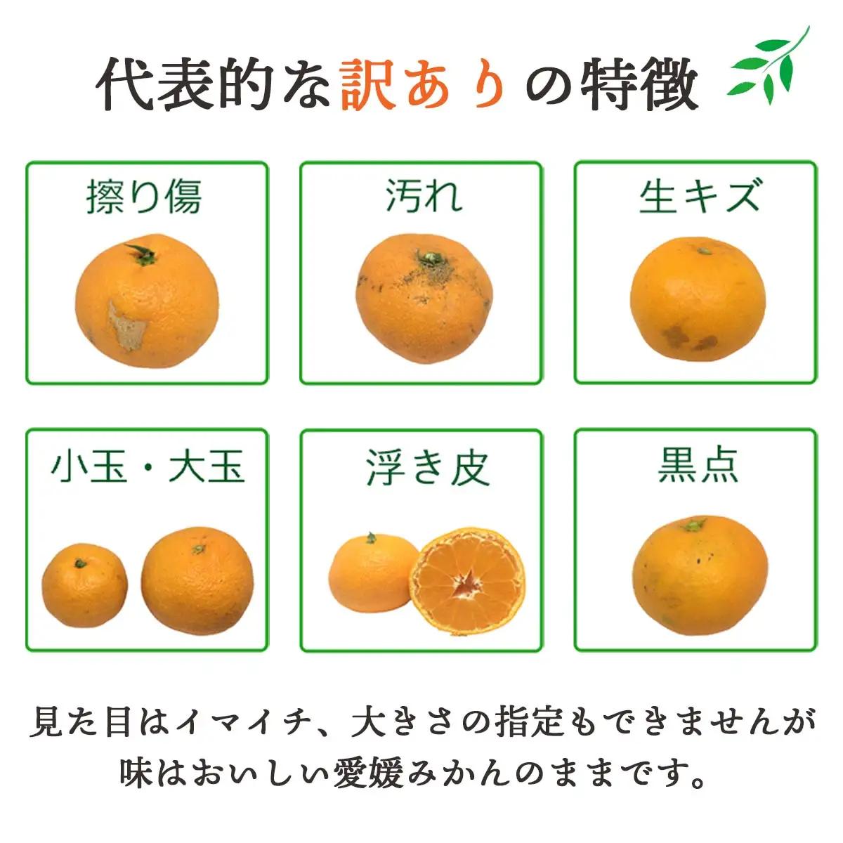 【発送月固定定期便】愛媛の人気品種を厳選! みかん定期便(訳あり)全8回【H25-117】【4001039】 YWTAP060