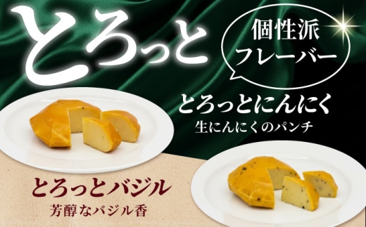 【7月発送】＼リピーター続出／ いぶしチーズ 6種詰め合わせ 燻製 おつまみ お取り寄せ 多治見市/いぶし香房 [TAE001]