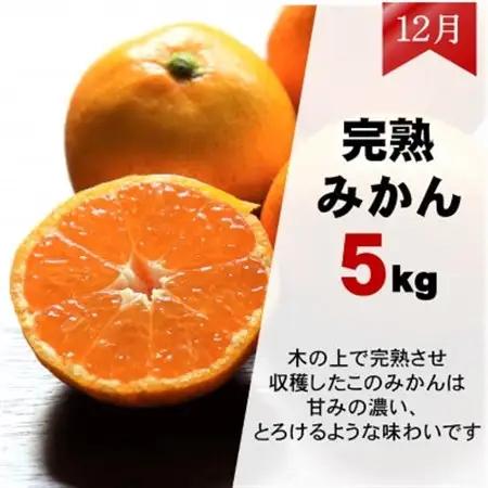 【発送月固定定期便】みかん好きのためのみかん定期便(ゆら早生みかん・完熟みかん)　各5kg　全2回【配送不可地域：離島・北海道・沖縄県】【4052463】