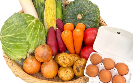 【全6回定期便】採れたてお野菜おまかせ（8〜10種）・卵6個セット/ 野菜 やさい 野菜セット 野菜詰め合わせ 詰め合わせ セット たまご 卵 タマゴ 紅たまご こだまさんち / 大村市 / かとりス