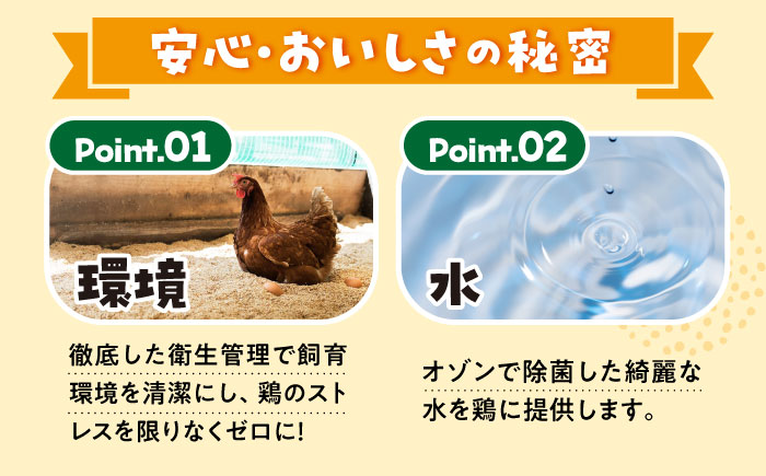 【3回定期便】 まつもとたまご Lサイズ 赤玉 160個 ＜松本養鶏場＞[CCD014]